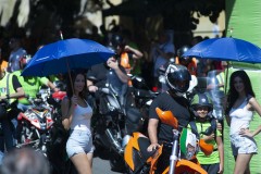ERS_9225_1