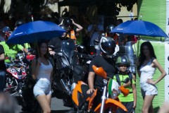 ERS_9226_1