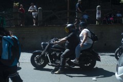 ERS_9339_1